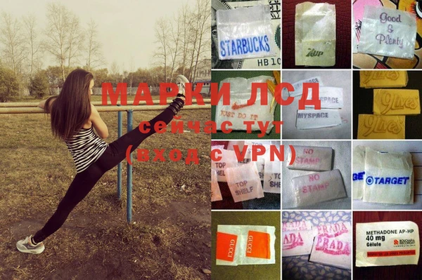 МДПВ Богородск